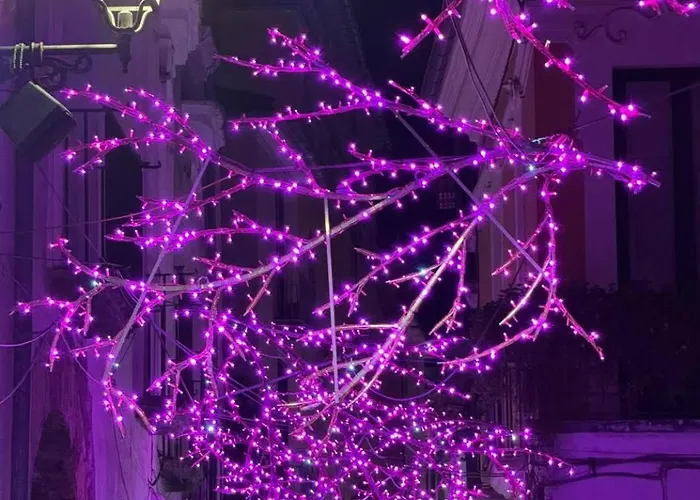 A Casa Di Anto E Dani * Salerno