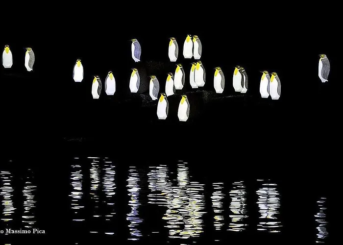 A Casa Di Anto E Dani